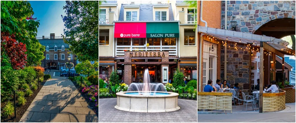 triptych image of PSW, Mediterra, and Teresa's Caffe